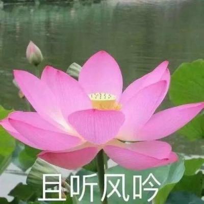 华润集团积极支援甘肃抗震救灾